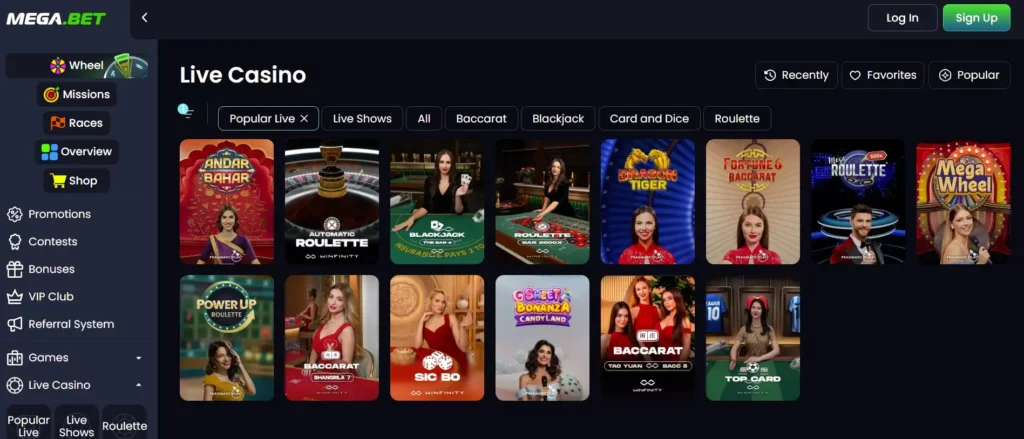 Klassieke Tafelspellen en Andere Casinogames